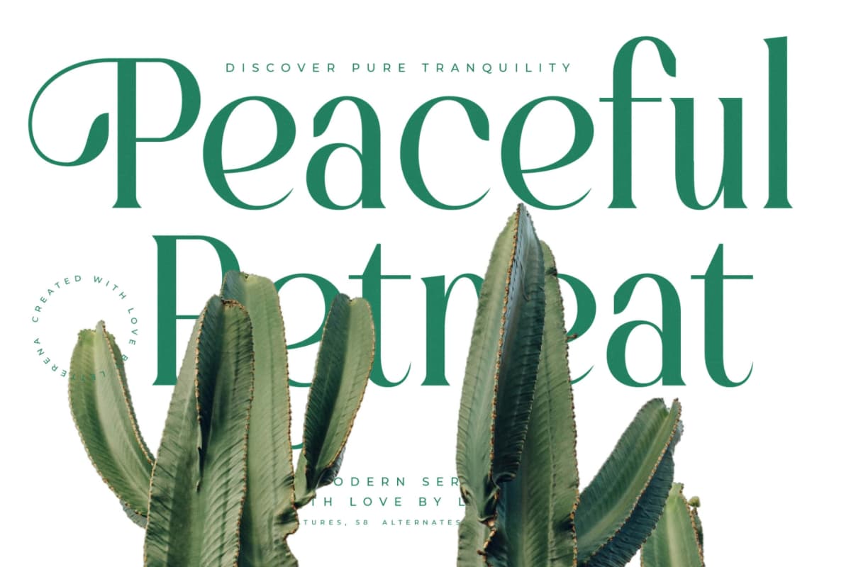 Preview 3 for Bastible – Modern Serif Font