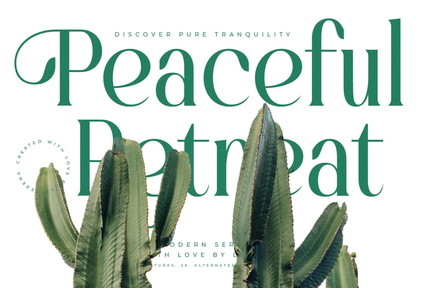 Preview 3 for Bastible – Modern Serif Font
