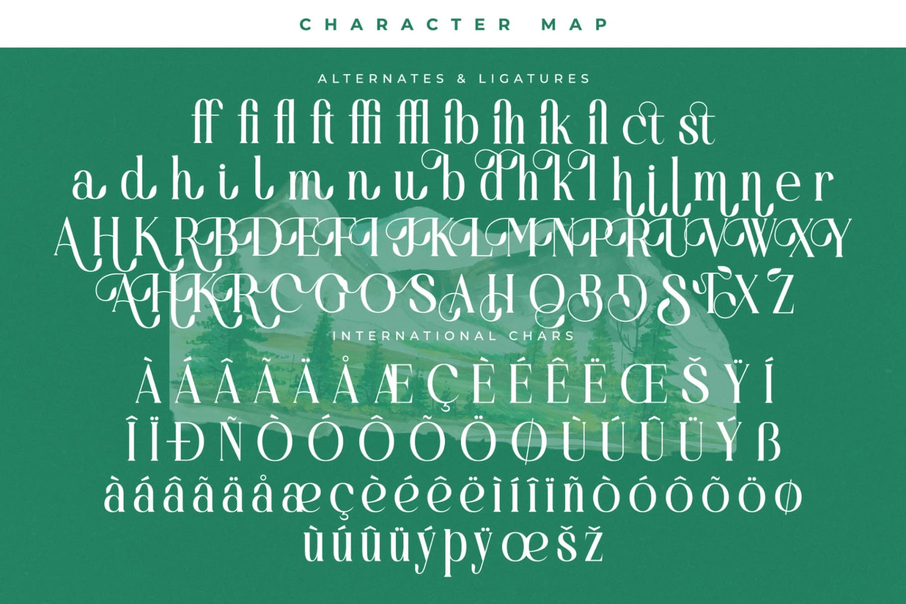 Preview 14 for Bastible – Modern Serif Font