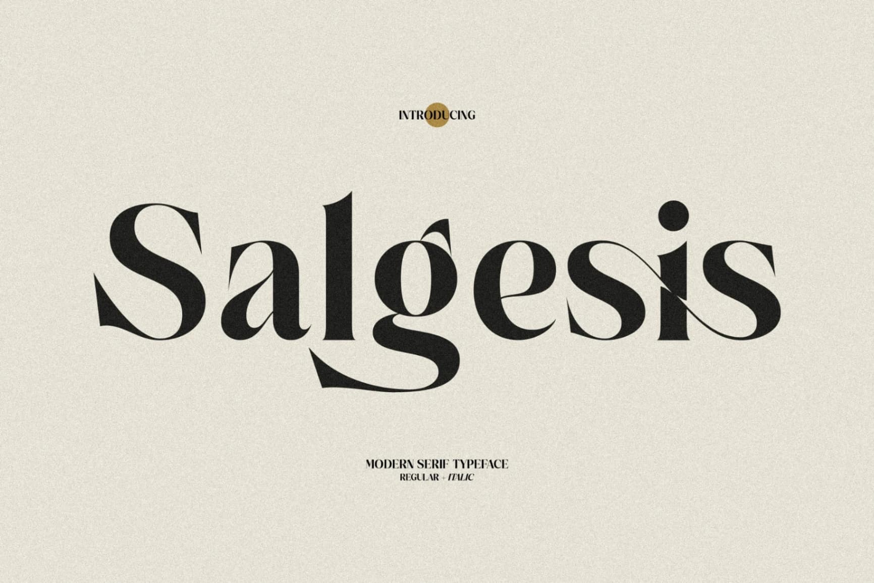 Preview of Salgesis - Modern Serif Typeface font
