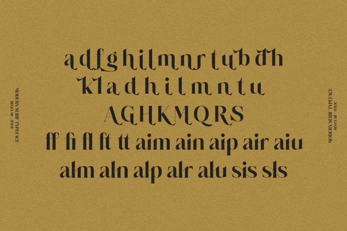 Preview 14 for Salgesis - Modern Serif Typeface