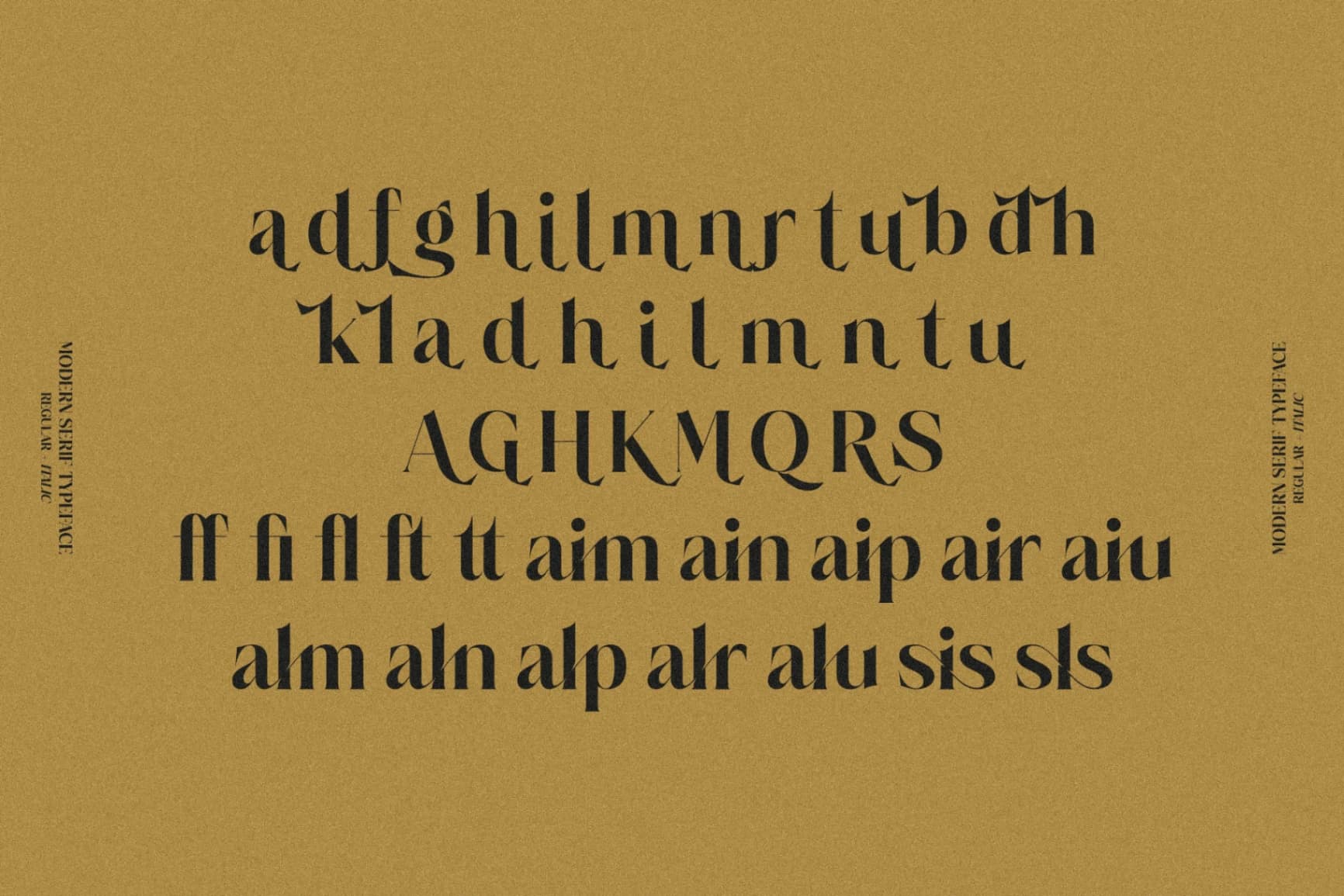 Preview 14 for Salgesis - Modern Serif Typeface