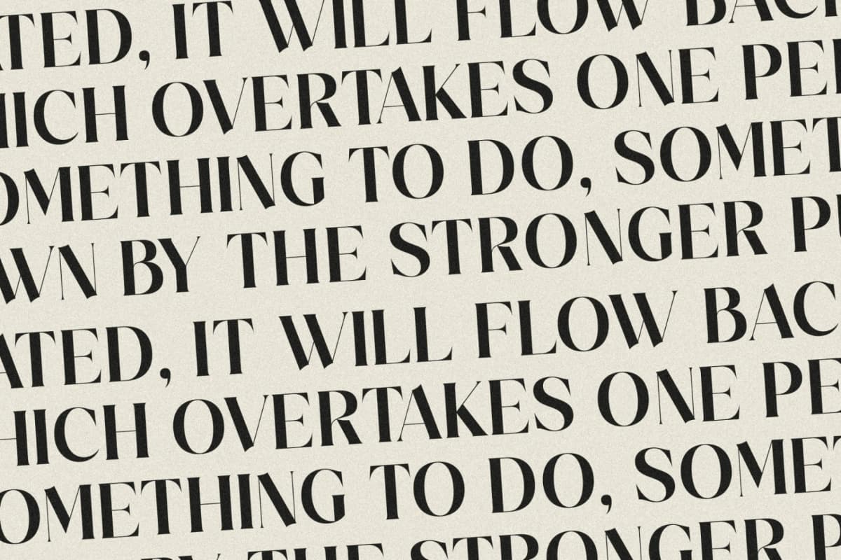 Preview 10 for Salgesis - Modern Serif Typeface