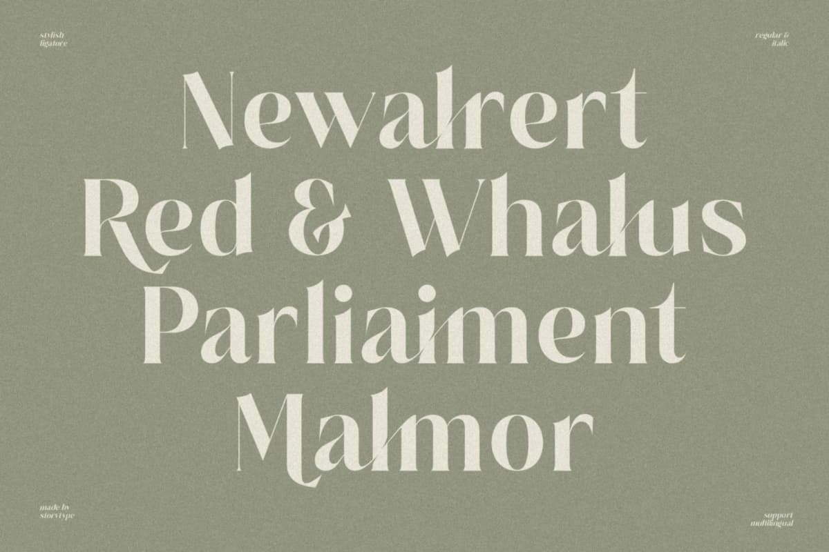 Preview 8 for Salgesis - Modern Serif Typeface