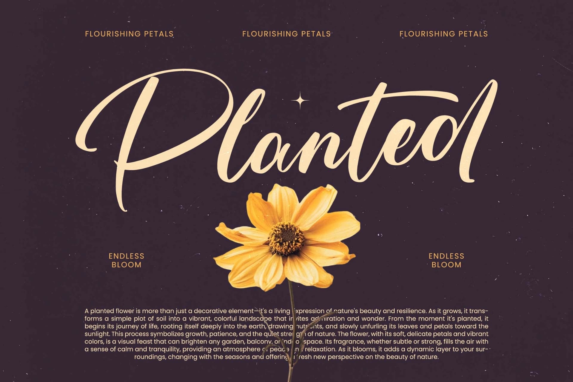 Preview 2 for Skayhan Chester - Bold Brush Font