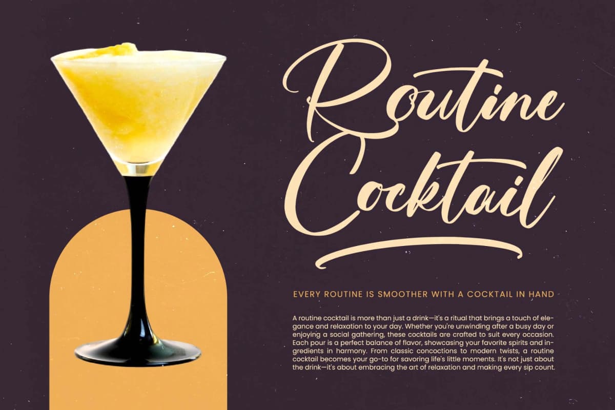 Skayhan Chester - Bold Brush Font font preview 9