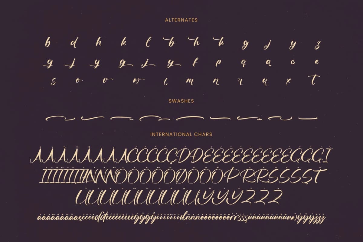 Skayhan Chester - Bold Brush Font font preview 19