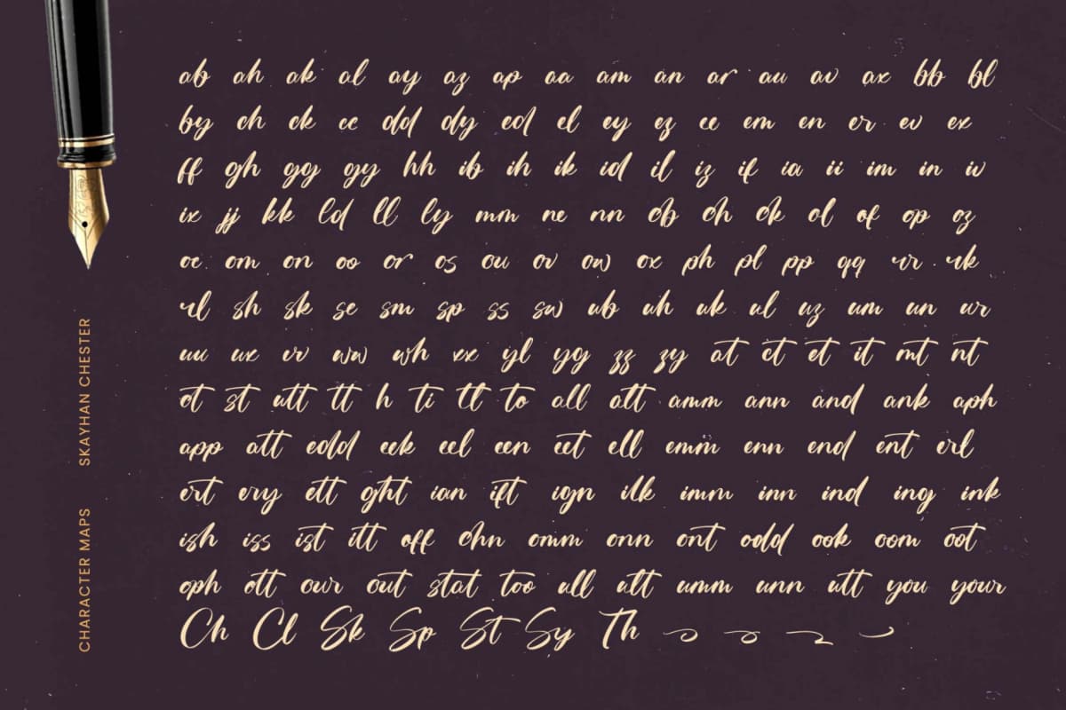 Skayhan Chester - Bold Brush Font font preview 17