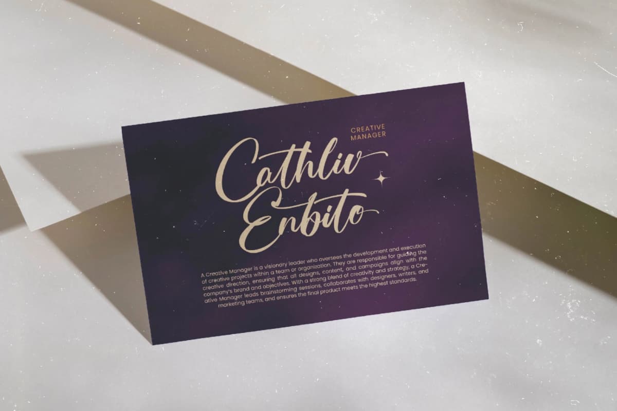 Skayhan Chester - Bold Brush Font font preview 13