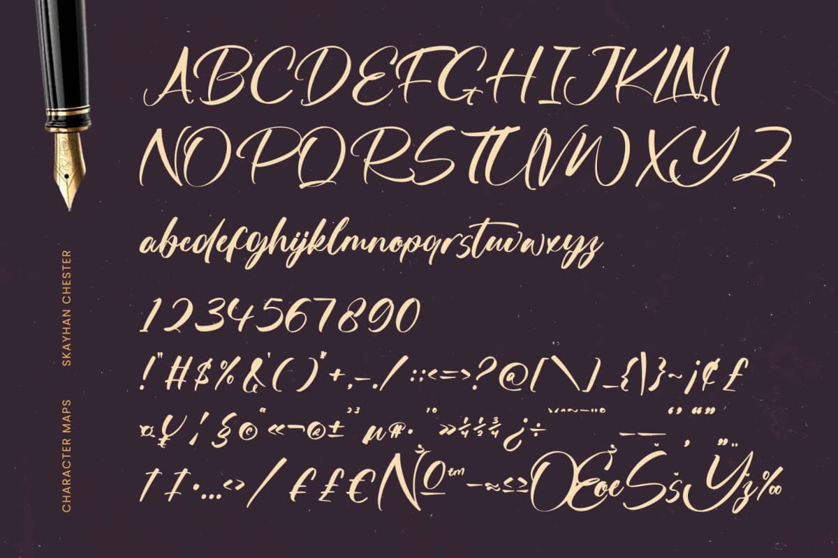 Skayhan Chester - Bold Brush Font font preview 16