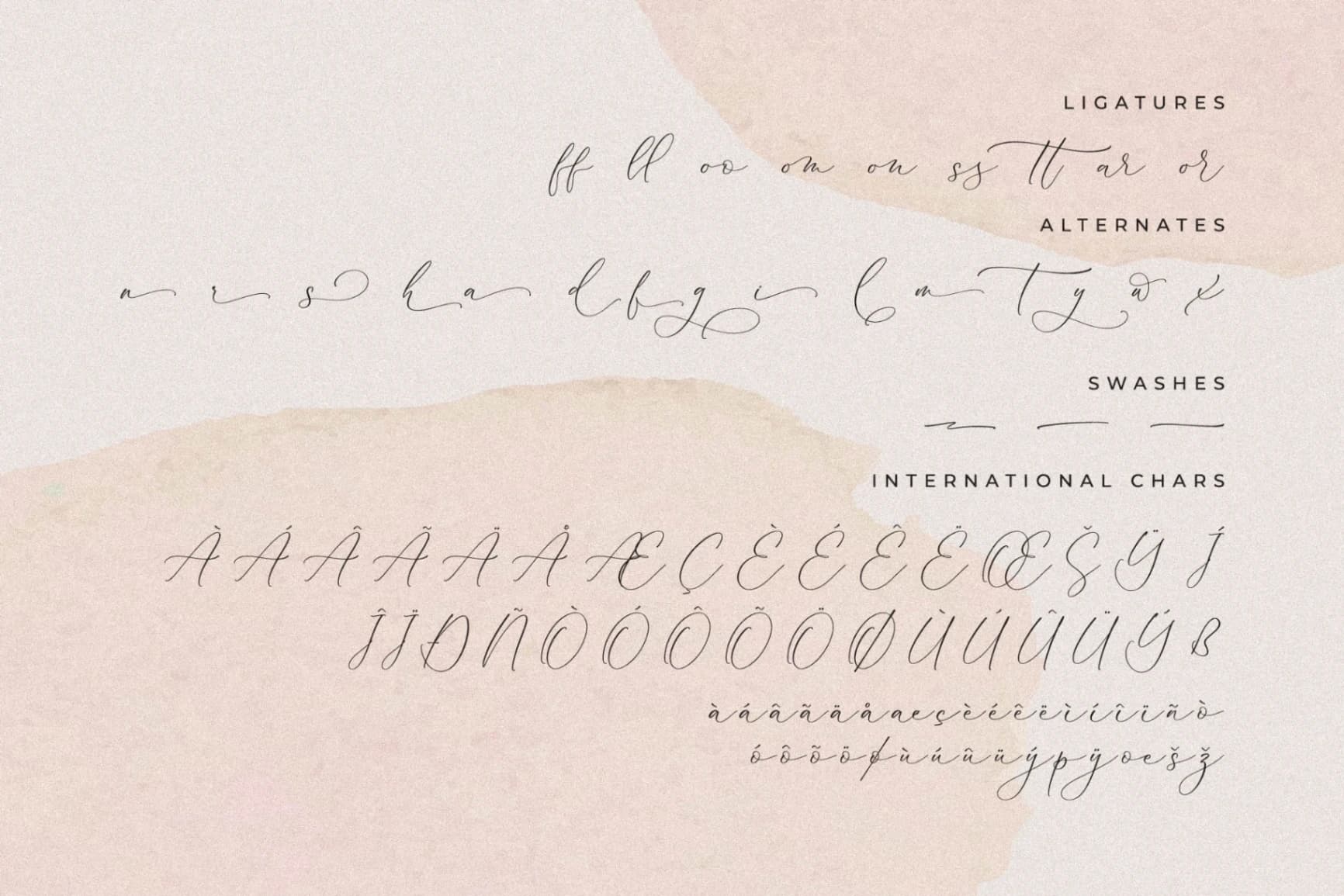 Preview 14 for Palmer Corella - Chic Calligraphy Font