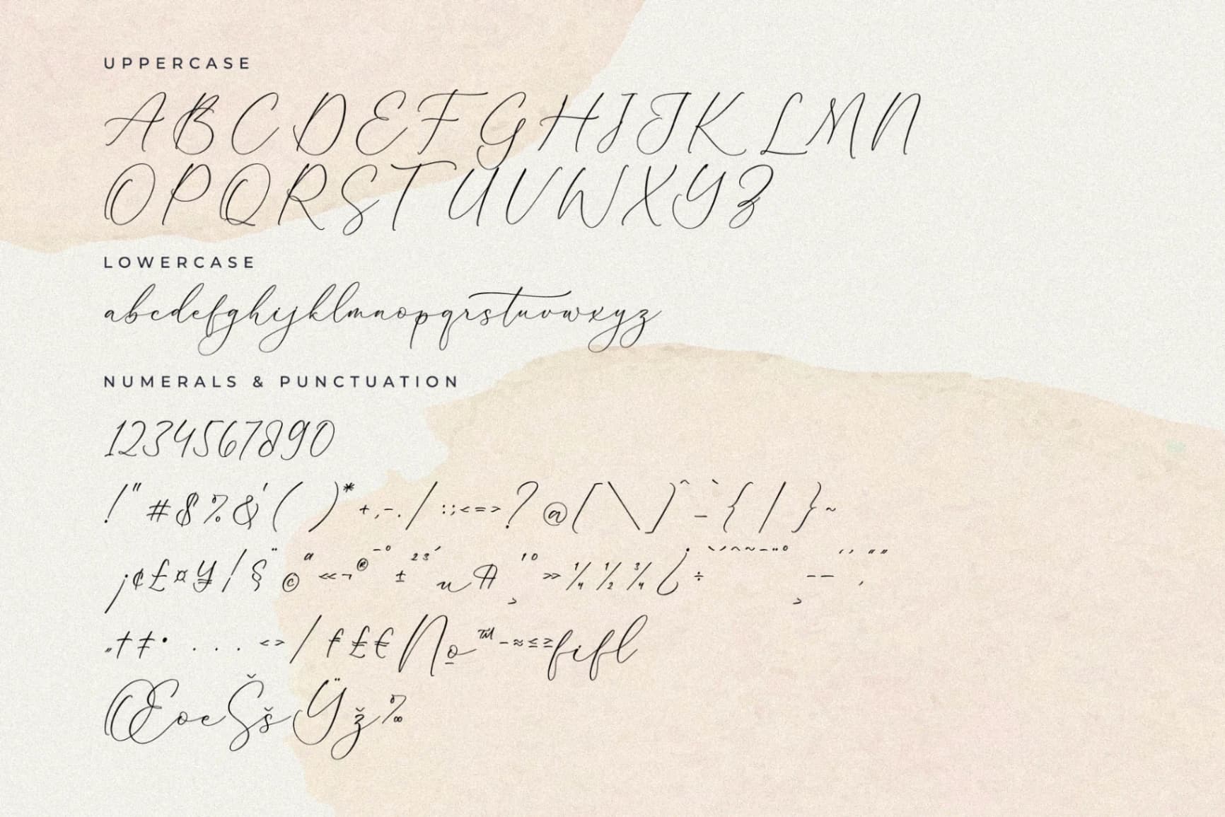 Preview 13 for Palmer Corella - Chic Calligraphy Font