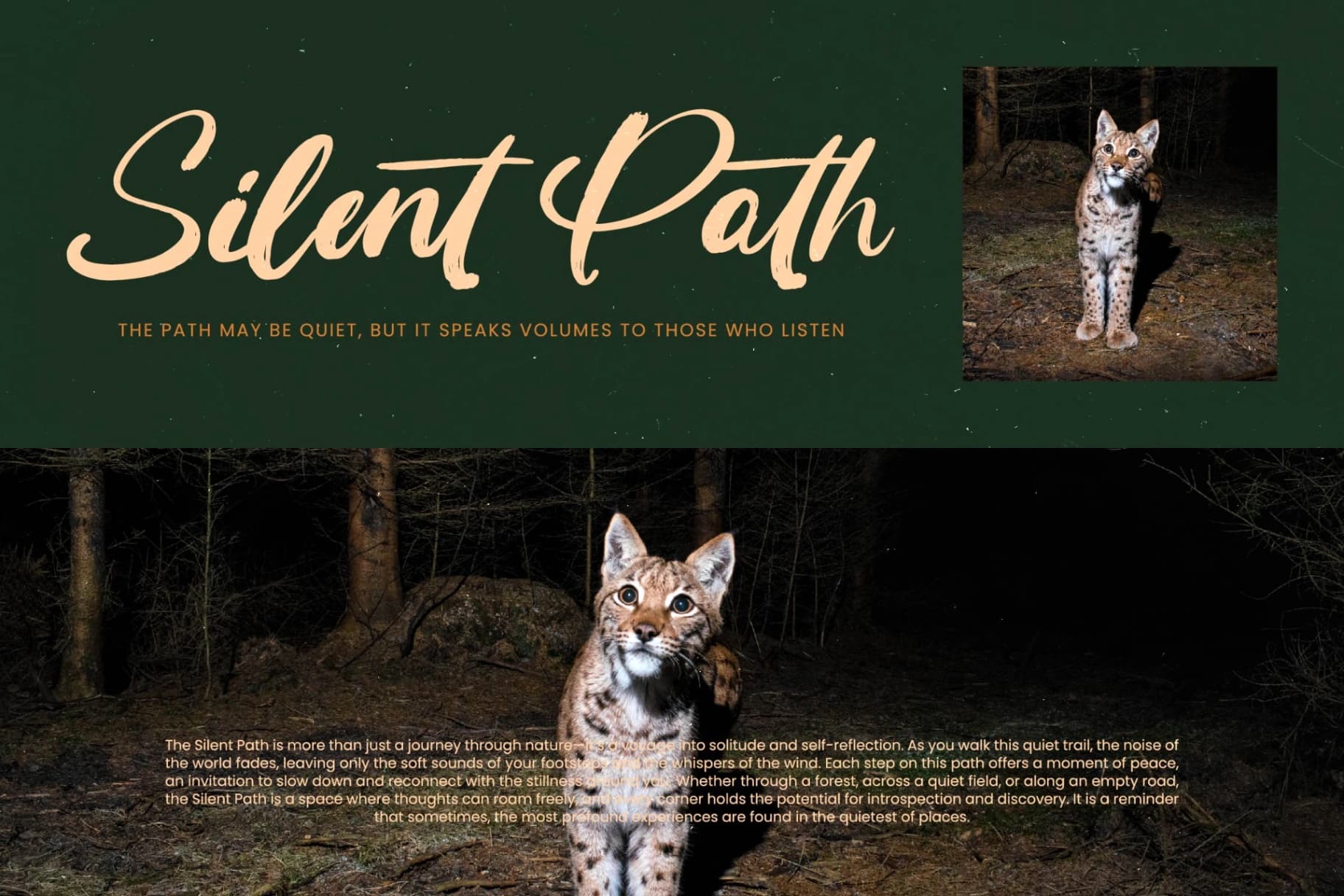 Preview 7 for Routine Oldnight - Modern Brush Font