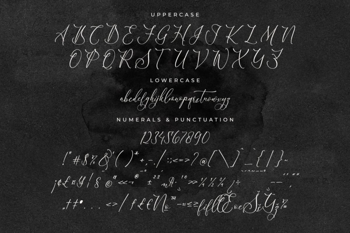 Preview 13 for Scarlet Flettcher - Elegant Calligraphy Font