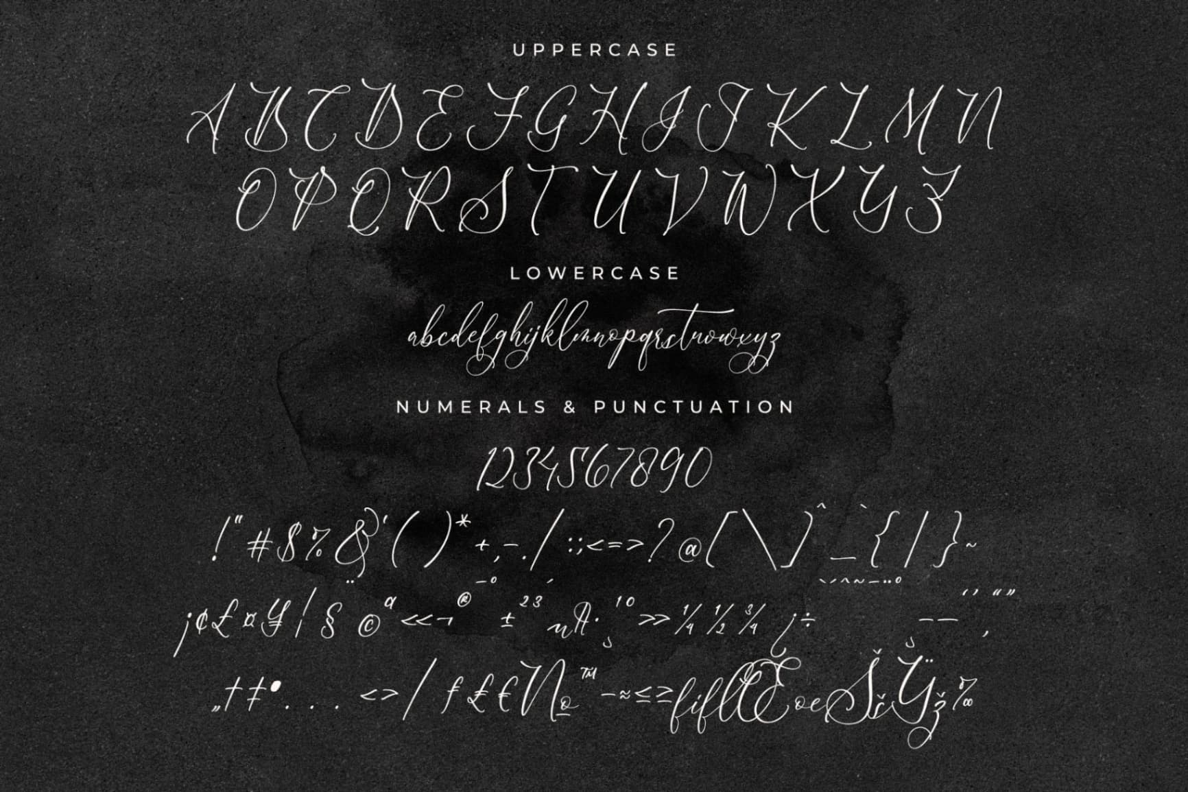 Preview 13 for Scarlet Flettcher - Elegant Calligraphy Font