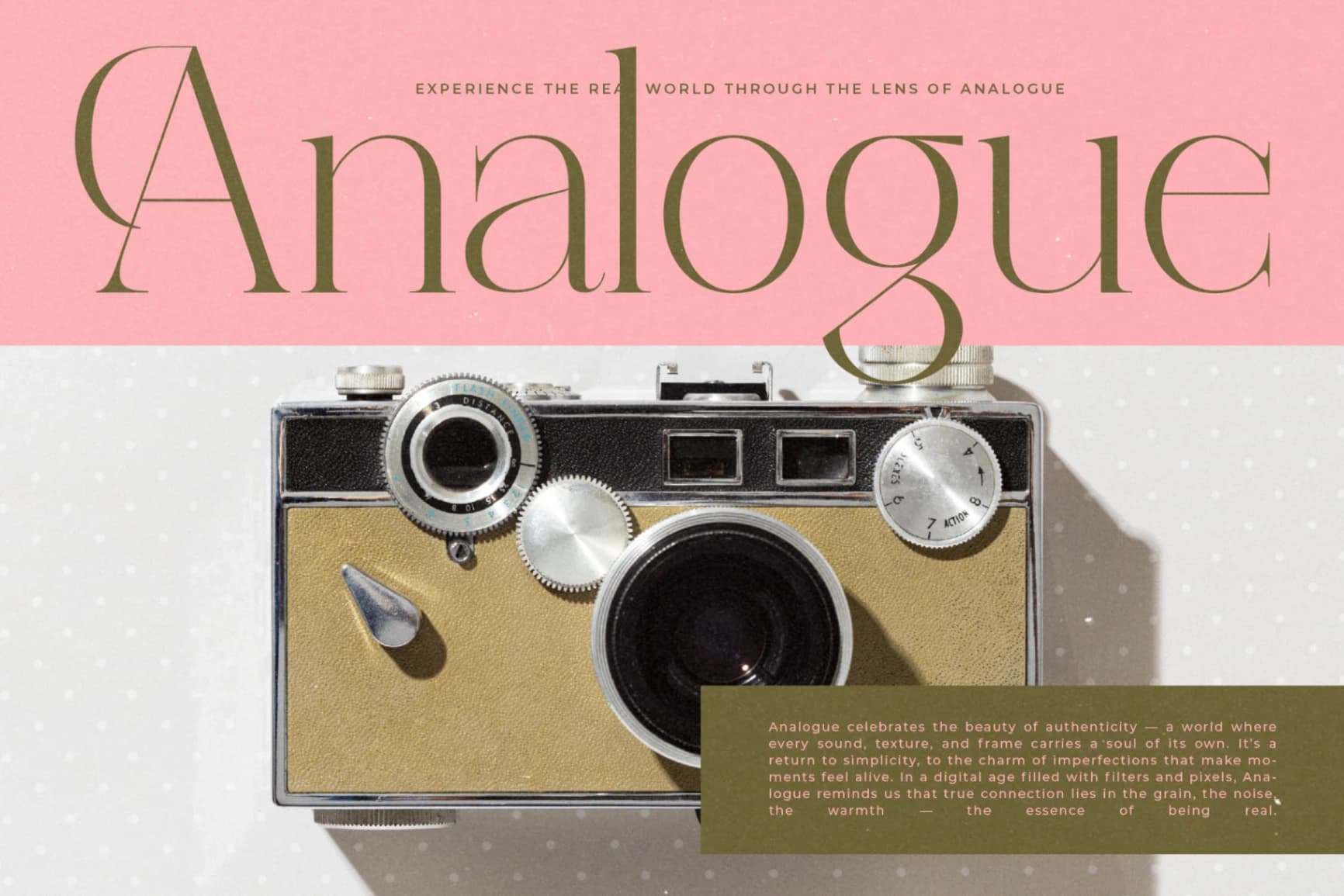 Preview 9 for Reaons - Elegant Thin Serif Font