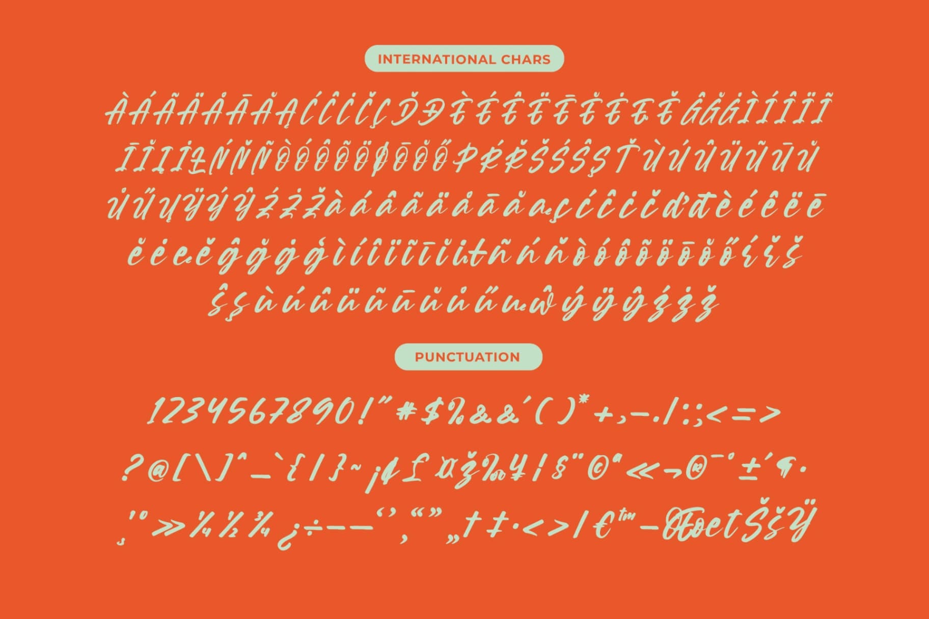 Preview 14 for Souther Daleska – Modern Brush Font