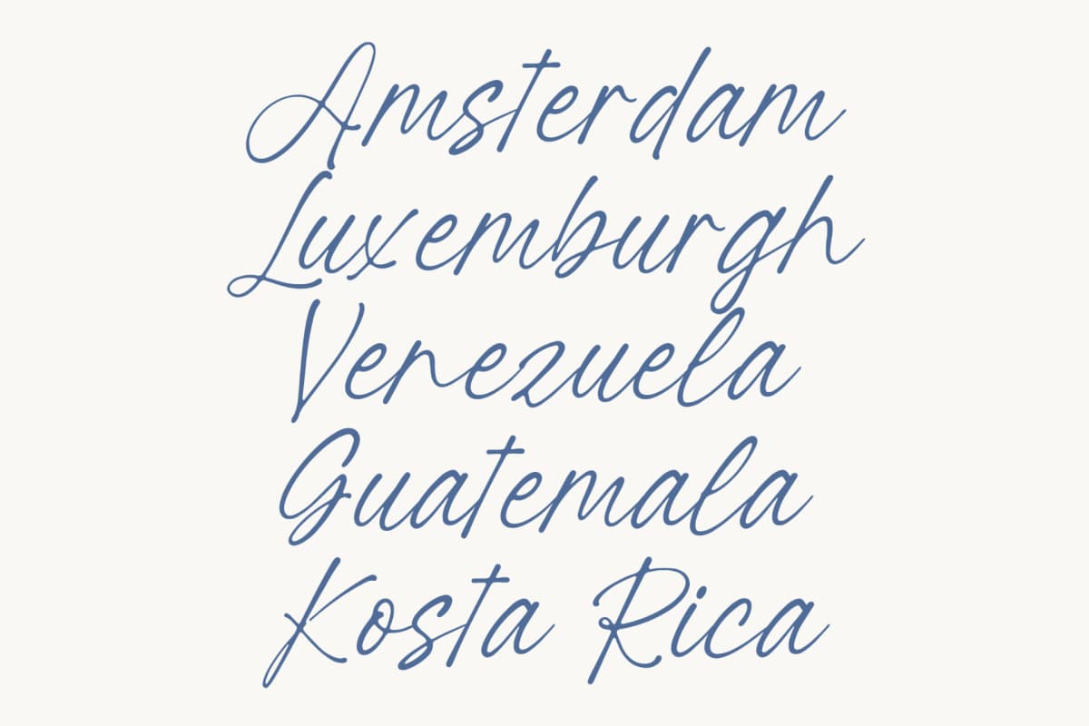 Ratinel Boldies - Handwritten Ink Font font preview 3