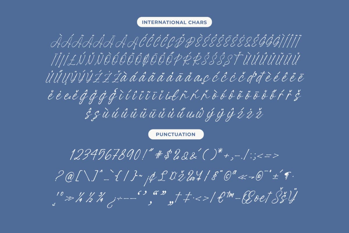 Ratinel Boldies - Handwritten Ink Font font preview 14