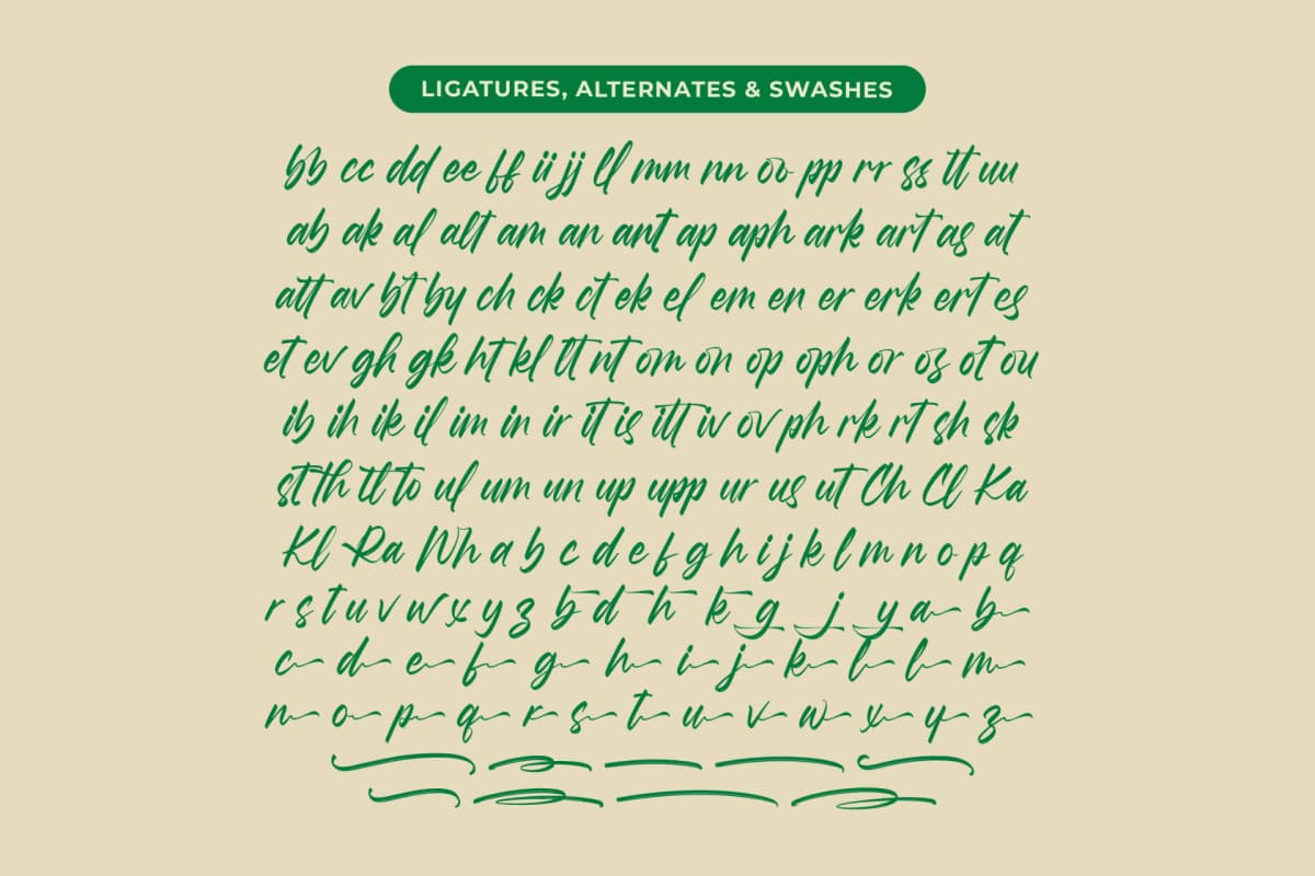 Preview 18 for Hamilton Brittany - Bold Brush Font