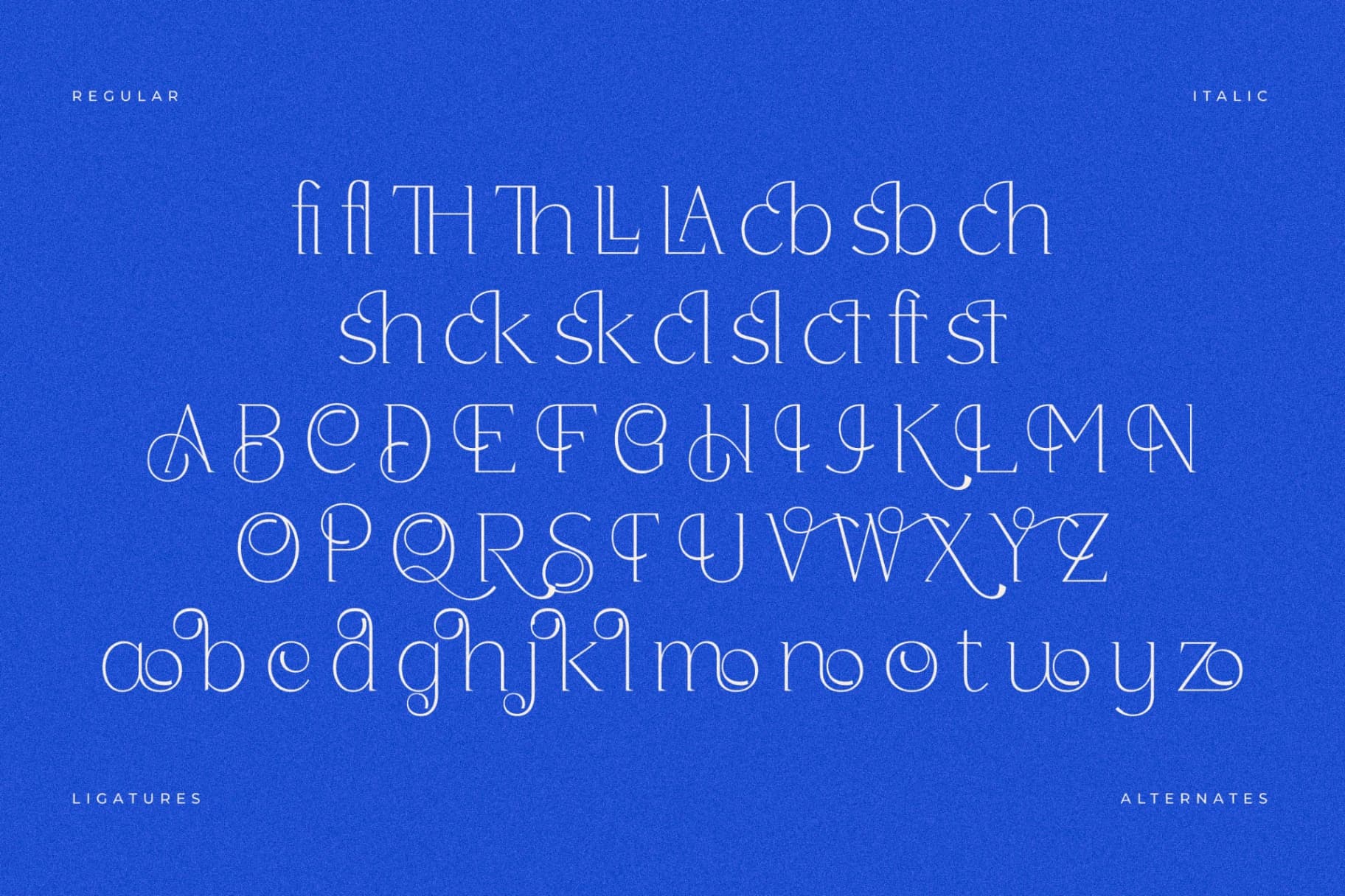 Preview 14 for Wordefta - Modern Serif Display Font