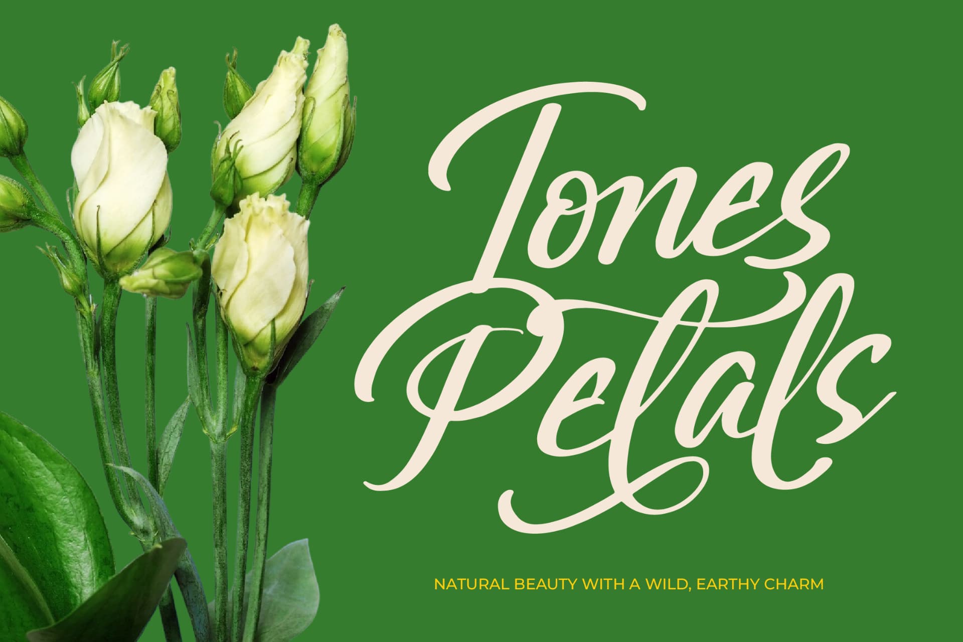 Preview 9 for Greatesa Brought - Bold Calligraphy Font
