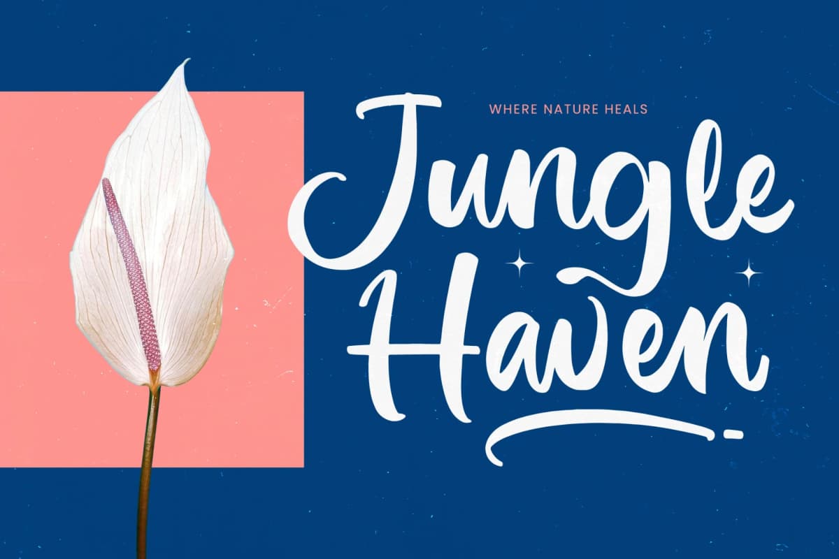 Imagine Sunday - Bold Handwritten Font font preview 2