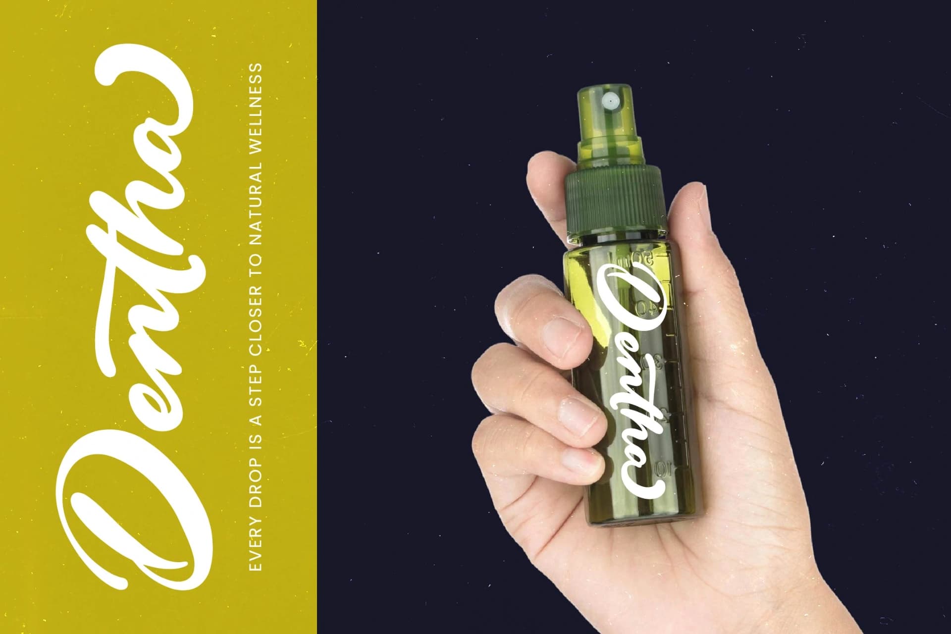 Preview 5 for Drink South - Bold Calligraphy Font