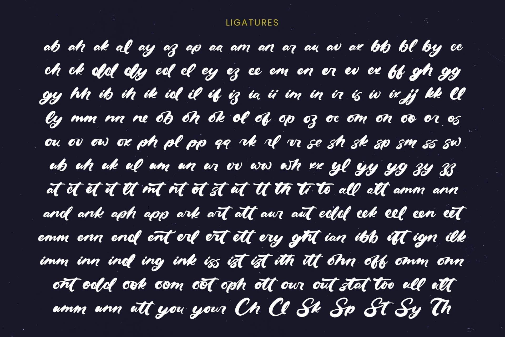 Preview 13 for Drink South - Bold Calligraphy Font