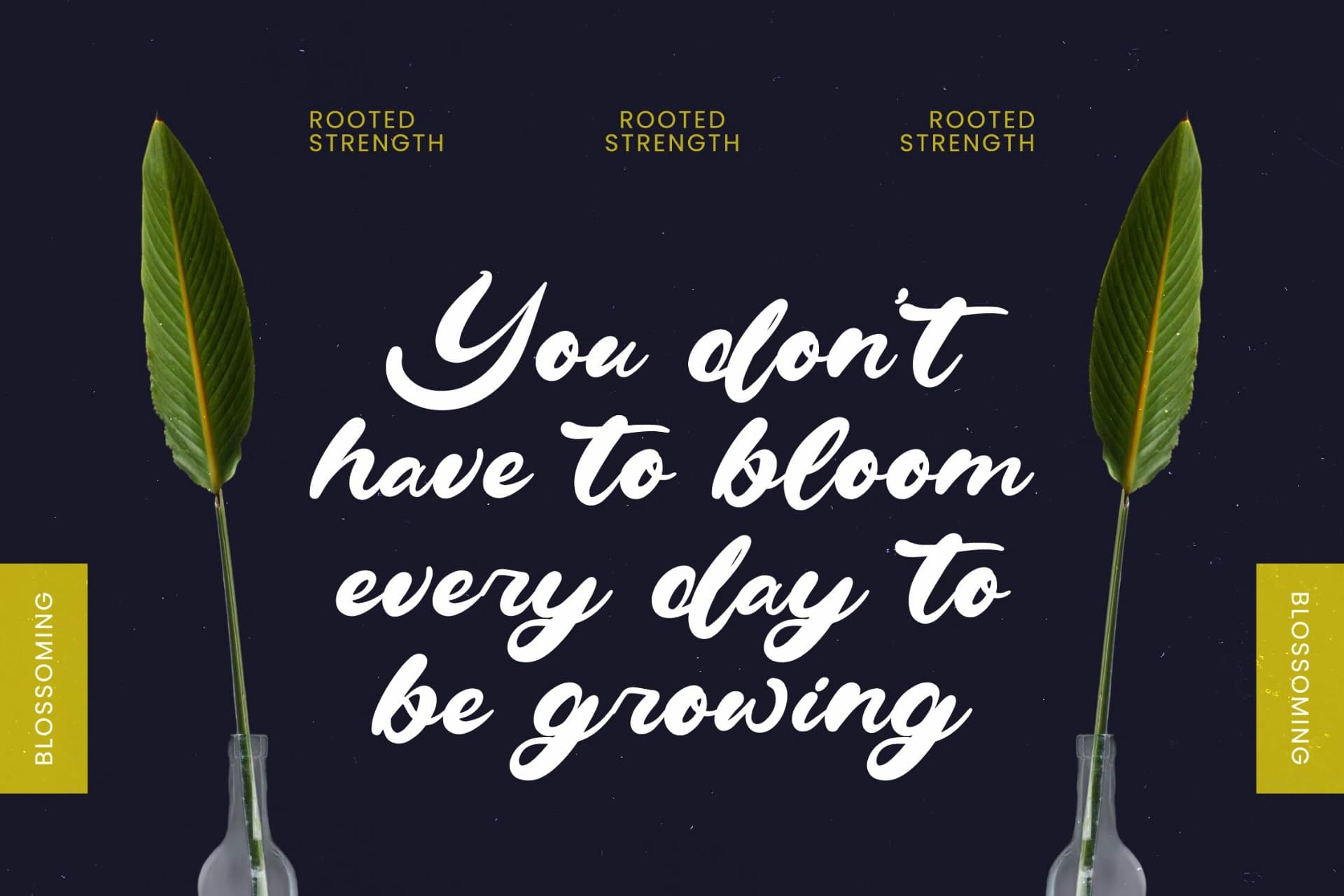 Preview 3 for Drink South - Bold Calligraphy Font