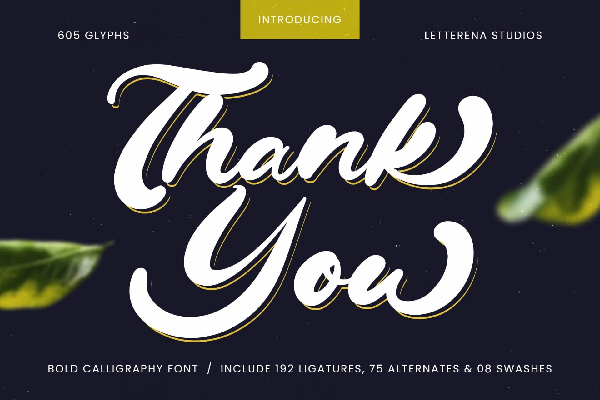 Preview 20 for Drink South - Bold Calligraphy Font