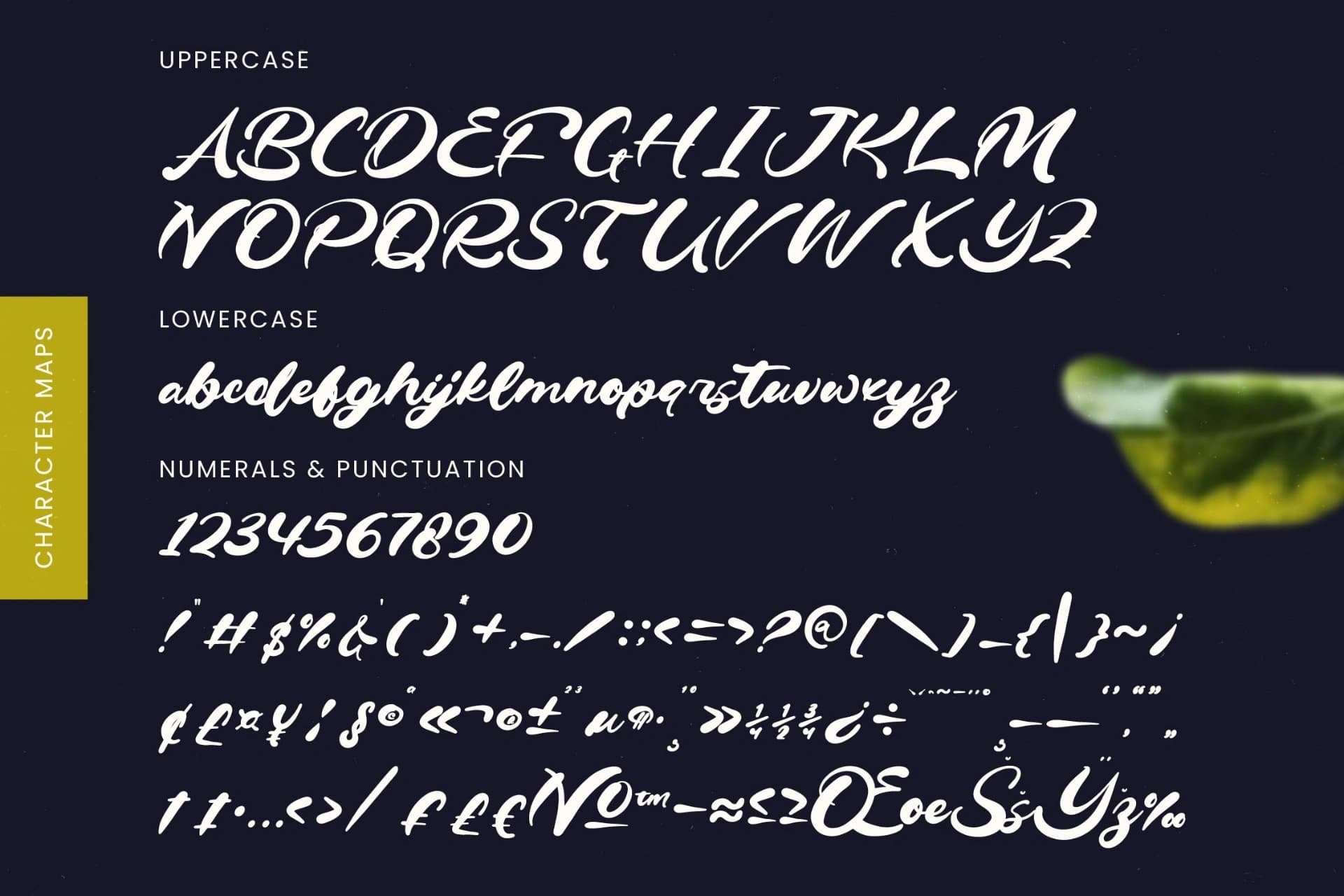 Preview 18 for Drink South - Bold Calligraphy Font