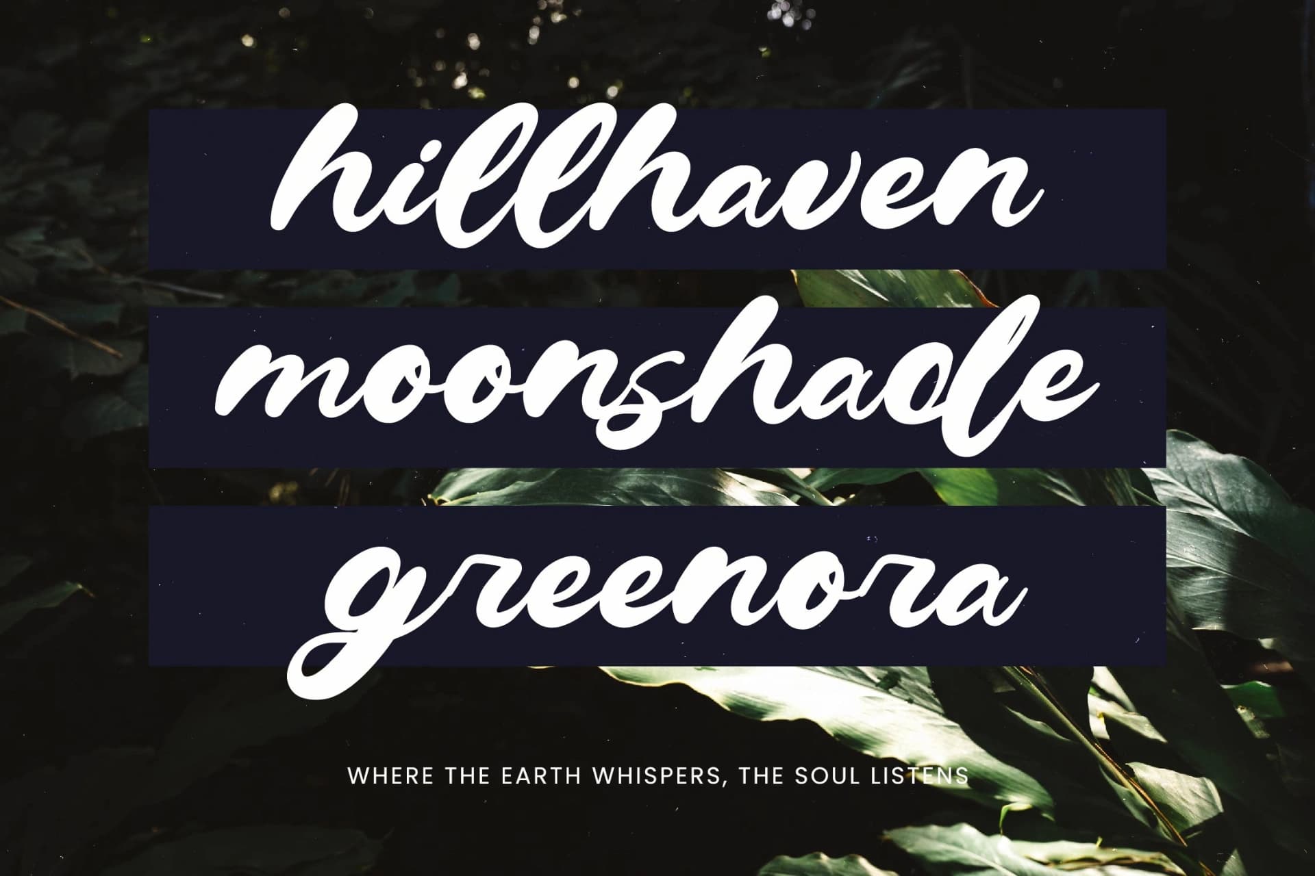 Preview 6 for Drink South - Bold Calligraphy Font