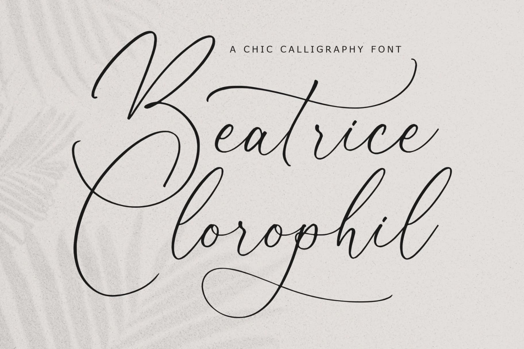 Preview of Beatrice Clorophil - Chic Calligraphy Font font