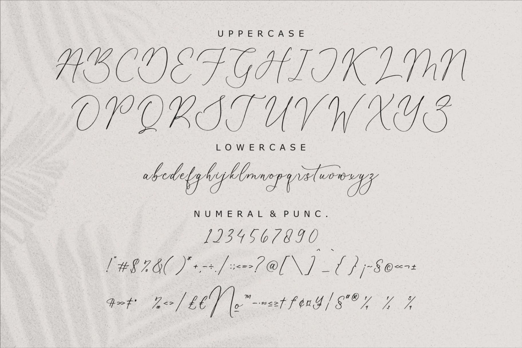 Preview 13 for Beatrice Clorophil - Chic Calligraphy Font