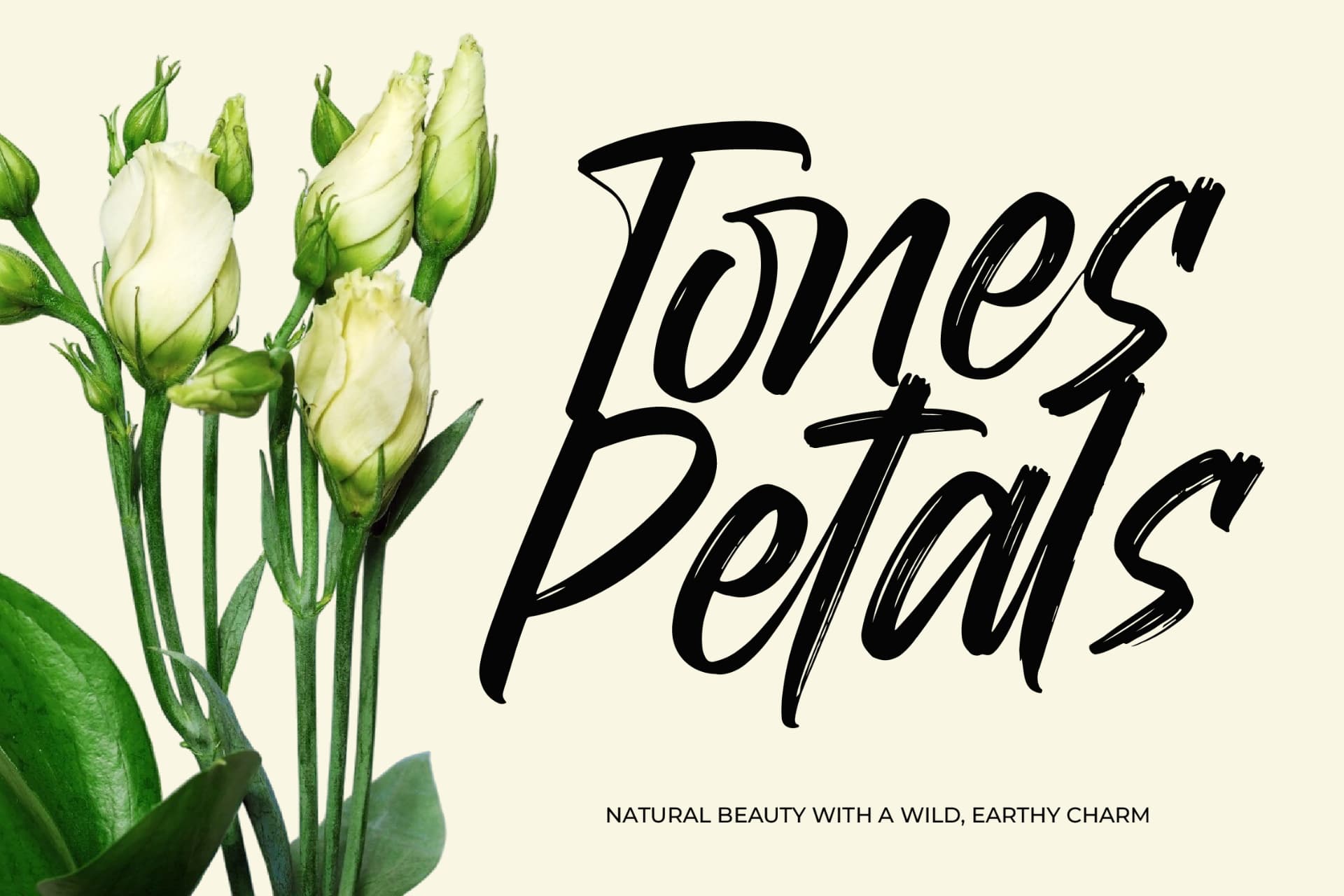 Preview 9 for Mirage Factory - Bold Brush Font