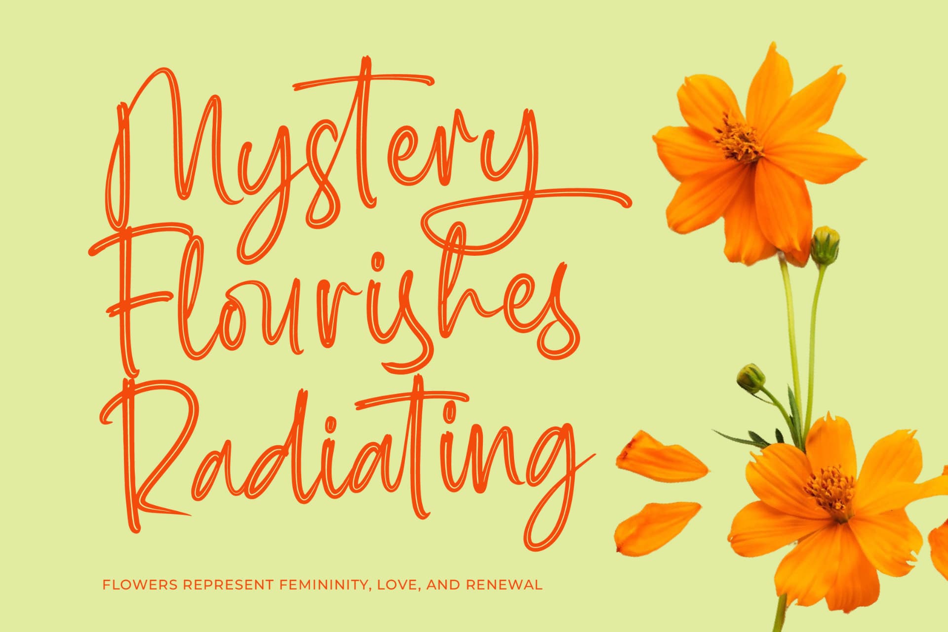 Preview 8 for Milegants Dersonale - Modern Brush Font