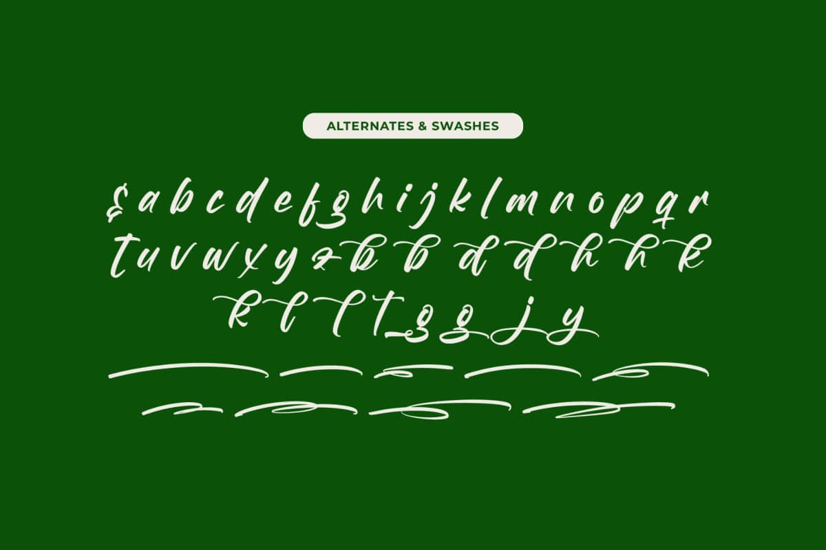 Preview 14 for Birthday Shottera - Bold Handwritten Font