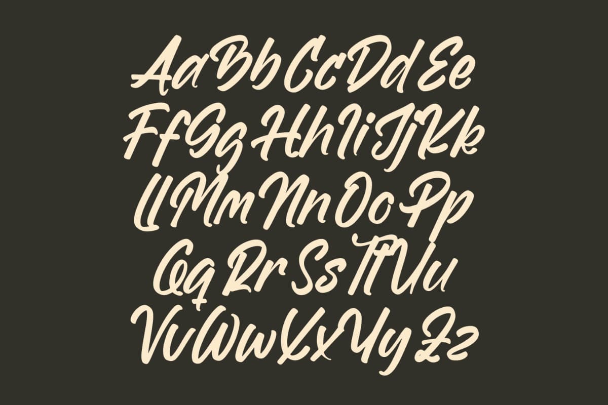 Homes Spaceline – Bold Handwritten Font font preview 9