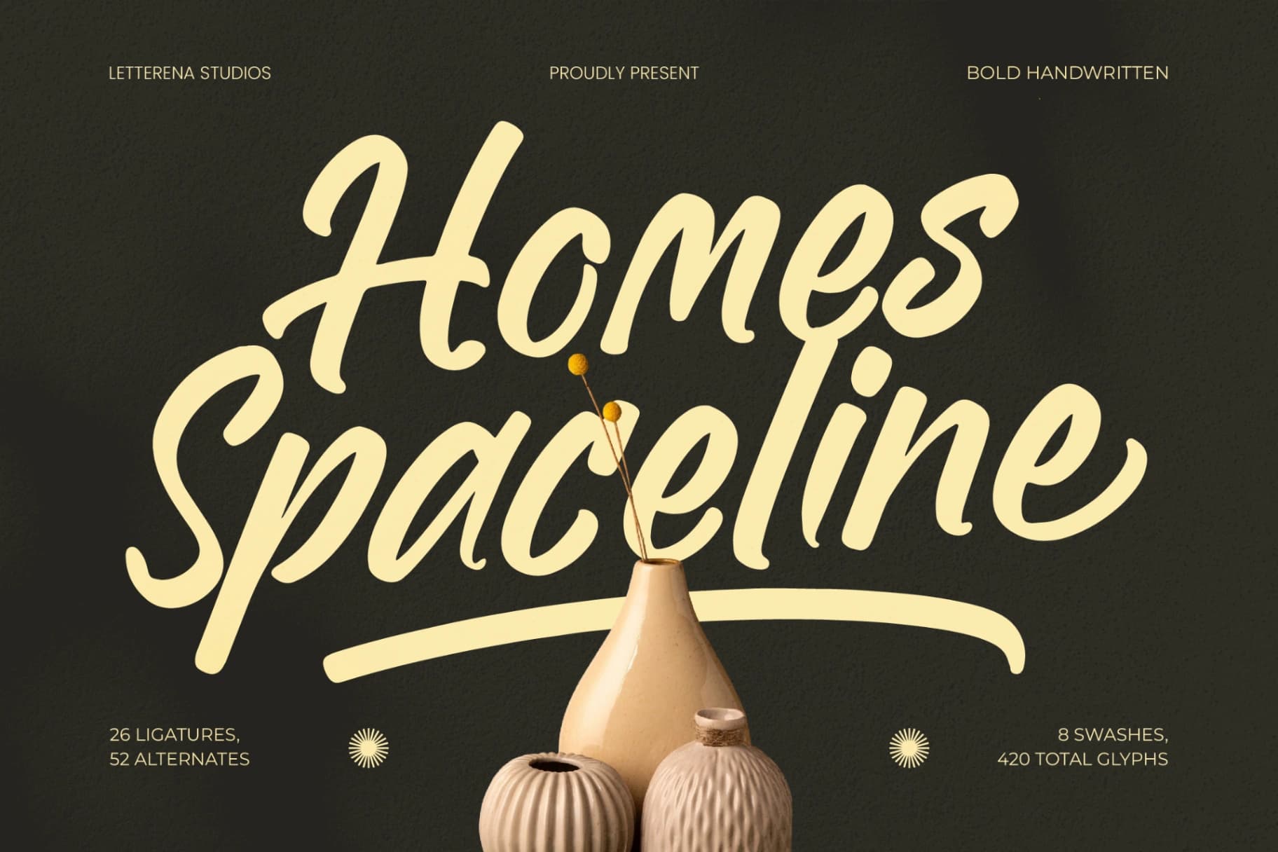 Preview of Homes Spaceline – Bold Handwritten Font font