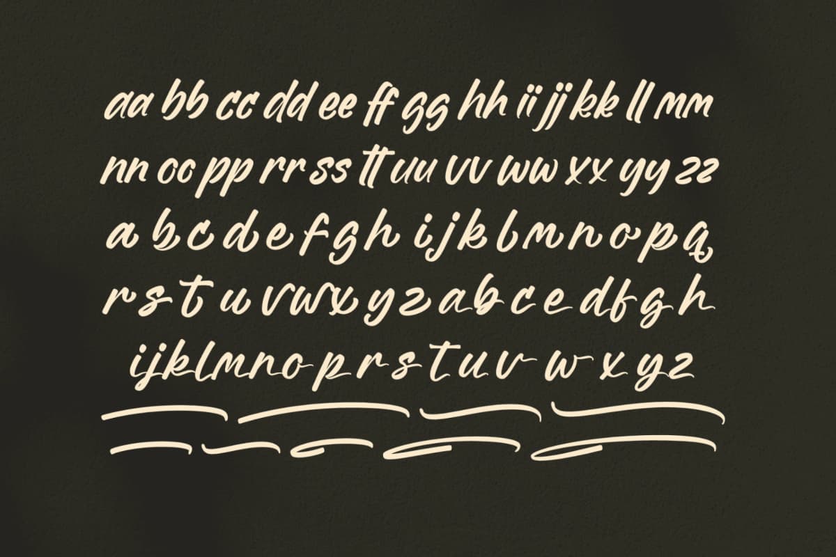Homes Spaceline – Bold Handwritten Font font preview 13