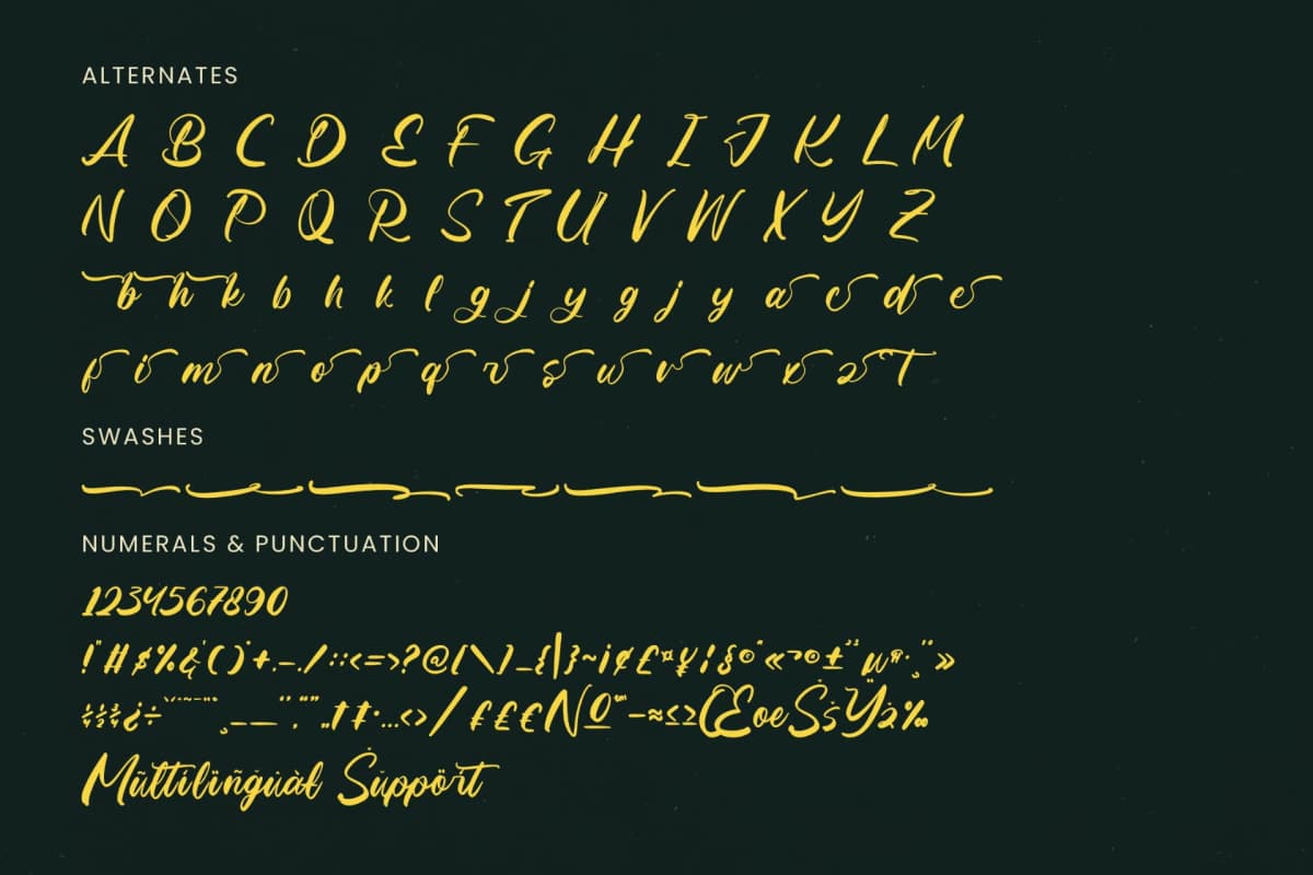 Matric Bunker - Bold Brush Font font preview 18