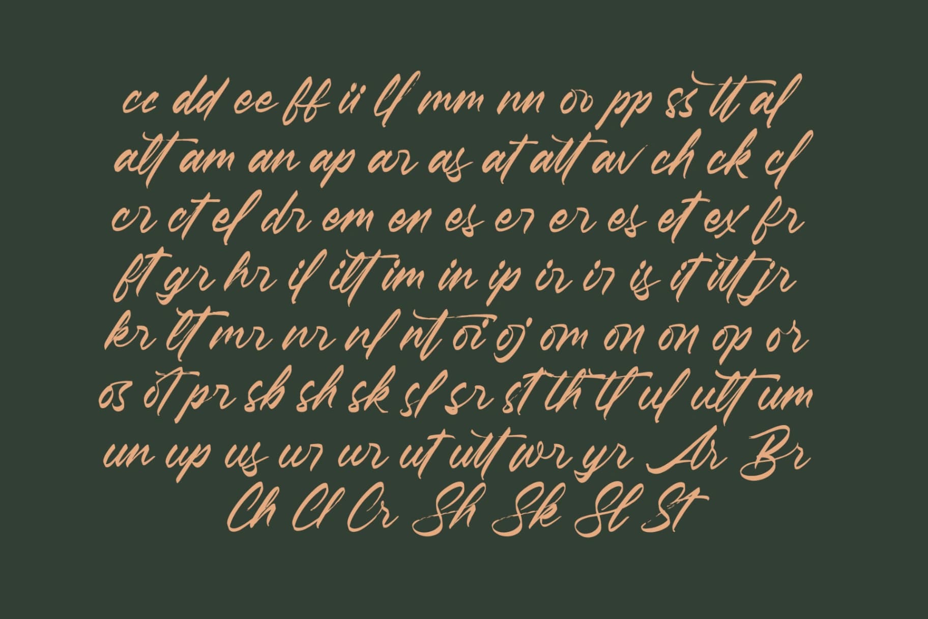 Preview 18 for Pluretta Vintage - Modern Brush Font