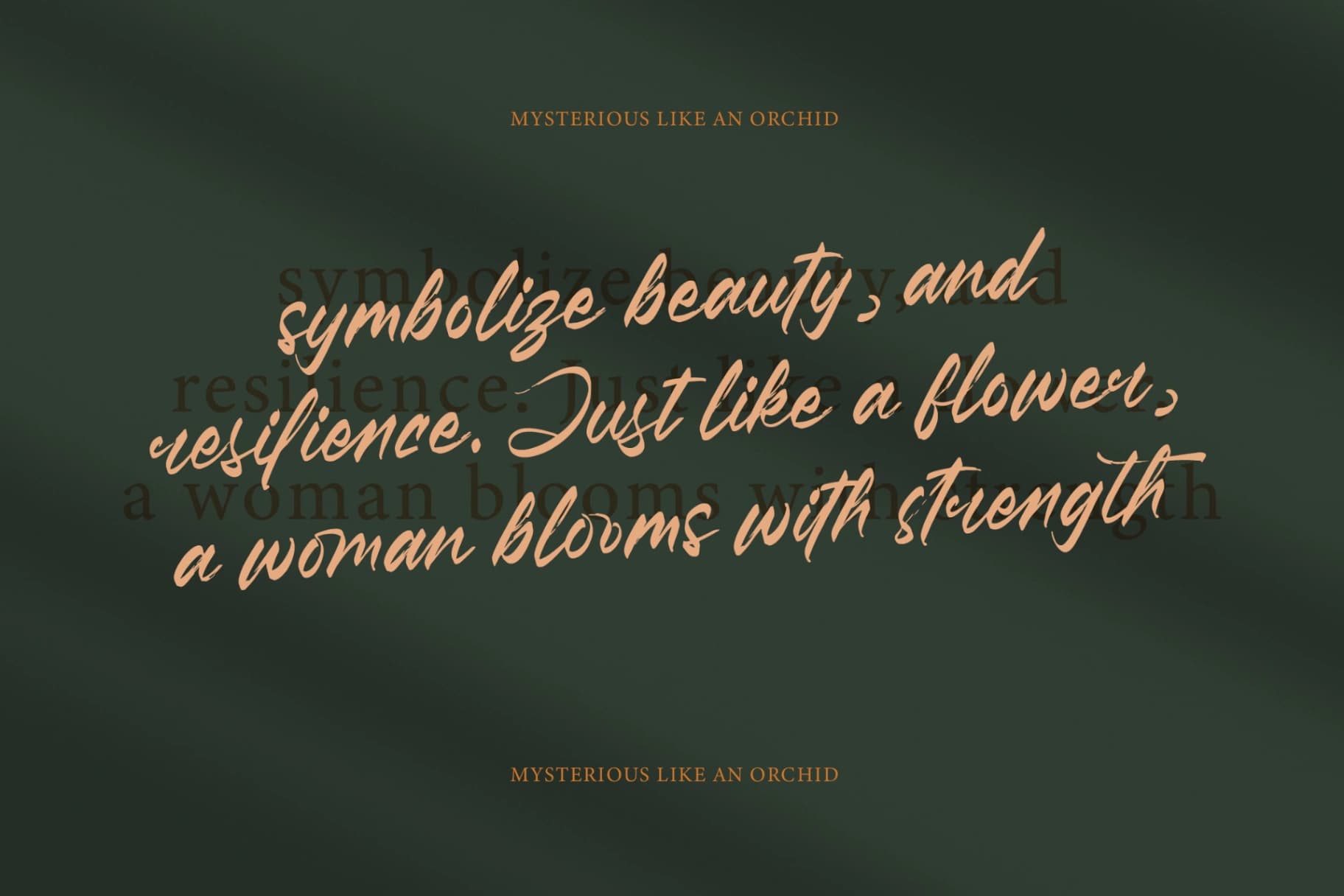 Preview 10 for Pluretta Vintage - Modern Brush Font