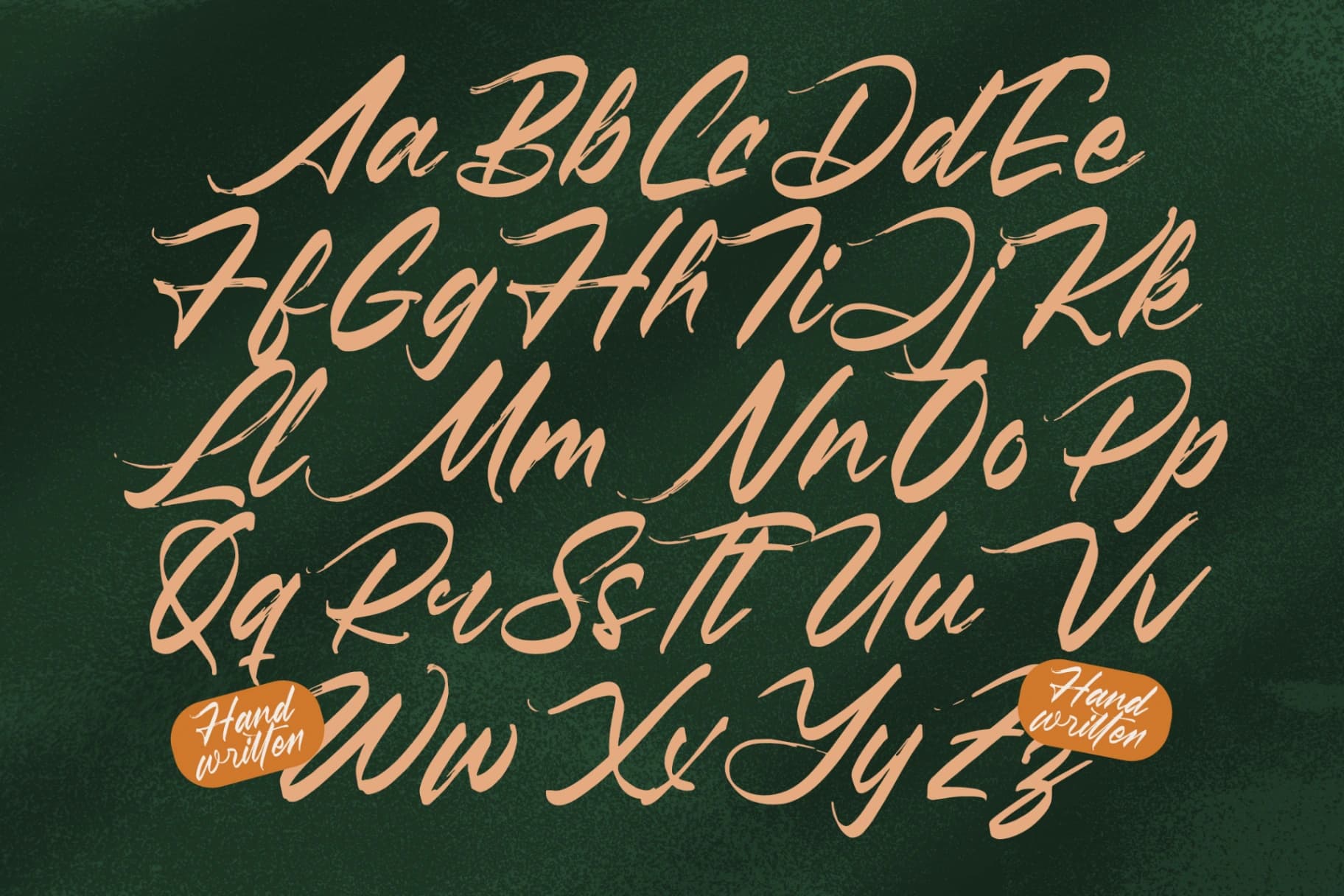 Preview 15 for Pluretta Vintage - Modern Brush Font