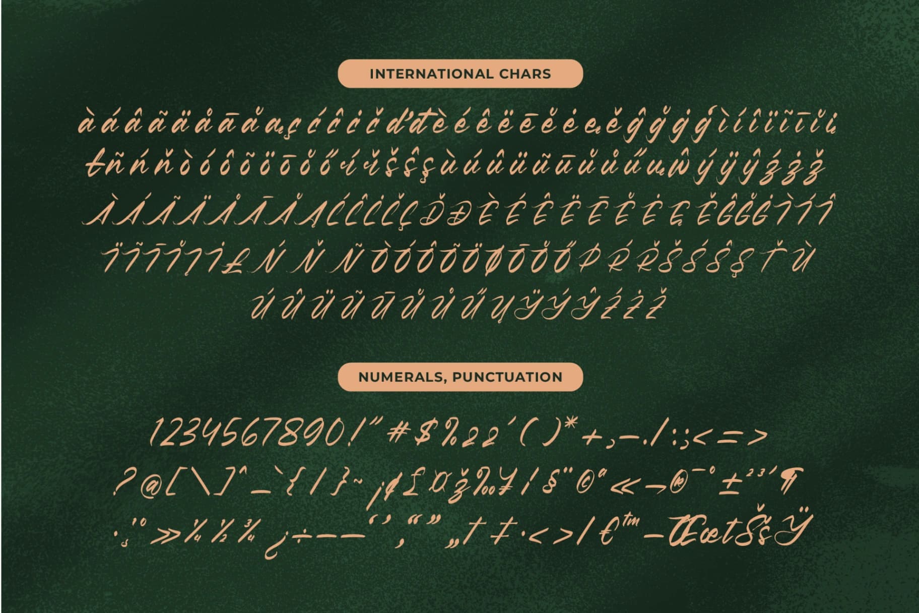 Preview 19 for Pluretta Vintage - Modern Brush Font