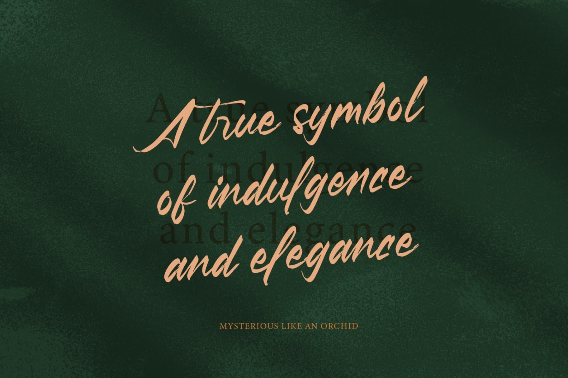 Preview 3 for Pluretta Vintage - Modern Brush Font