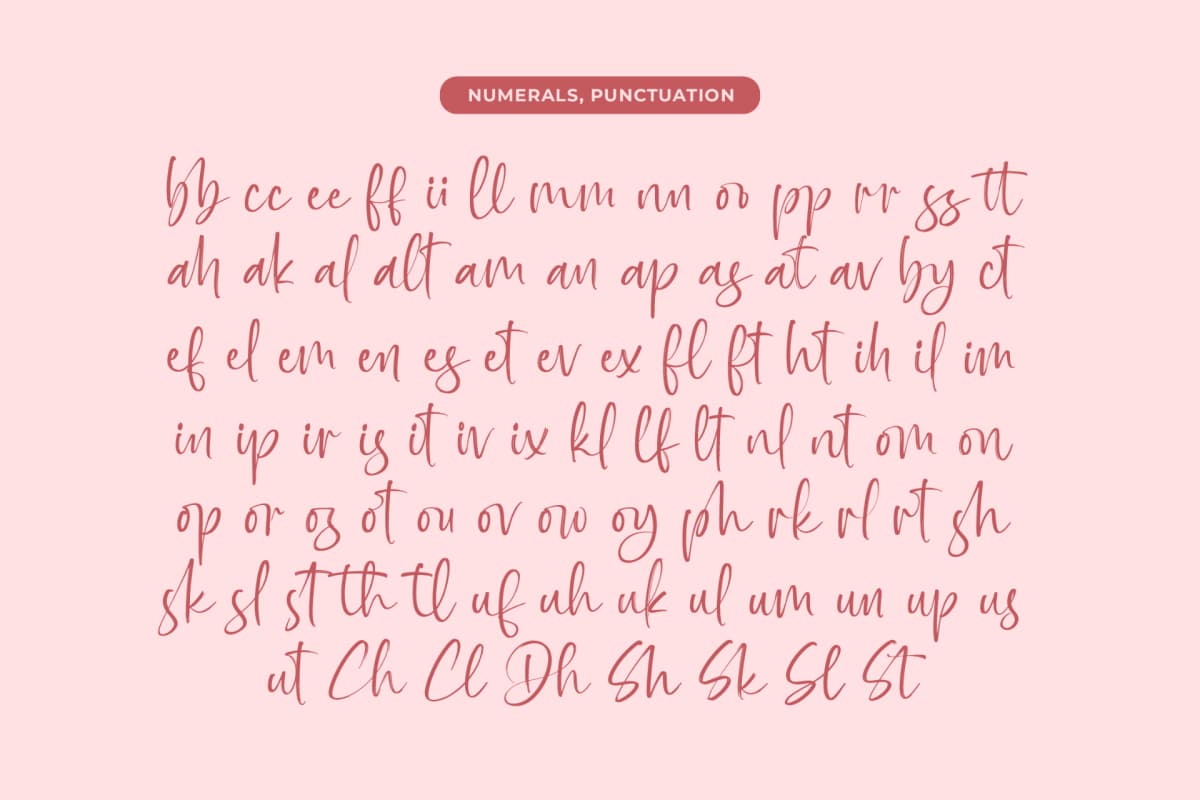 Preview 18 for Baplosy Startera - Bold Brush Font