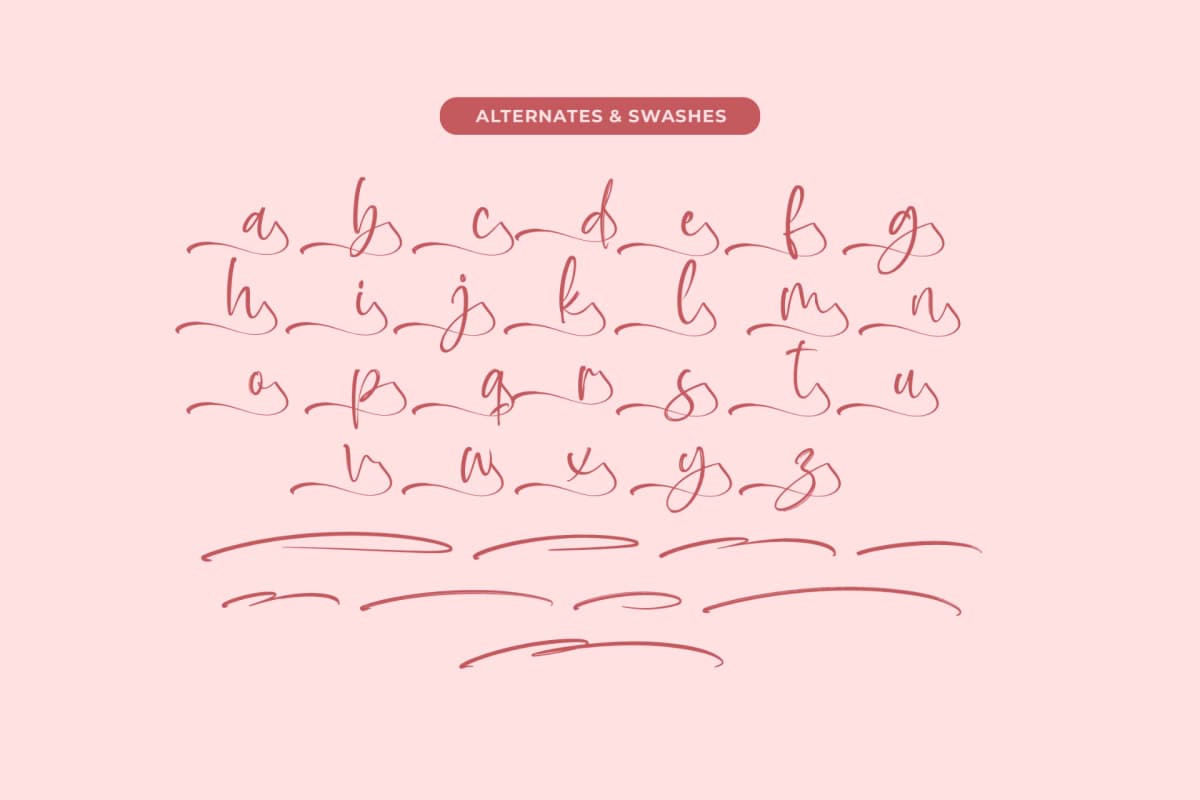 Preview 14 for Baplosy Startera - Bold Brush Font