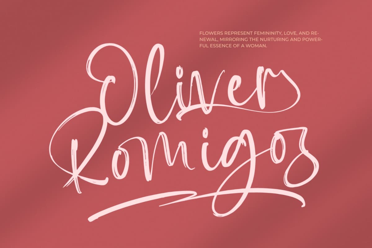 Preview 13 for Baplosy Startera - Bold Brush Font